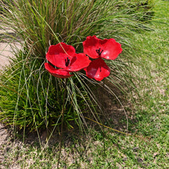 Mohn aus Metall – dekorative Blumen Gartenstecker für draußen