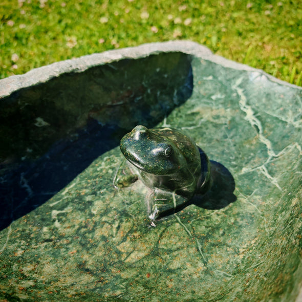 Vogeltränke Frosch Unikat #101 Künstler: Creto Simon