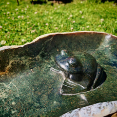 Vogeltränke Frosch Unikat #54 Künstler: Creto Simon