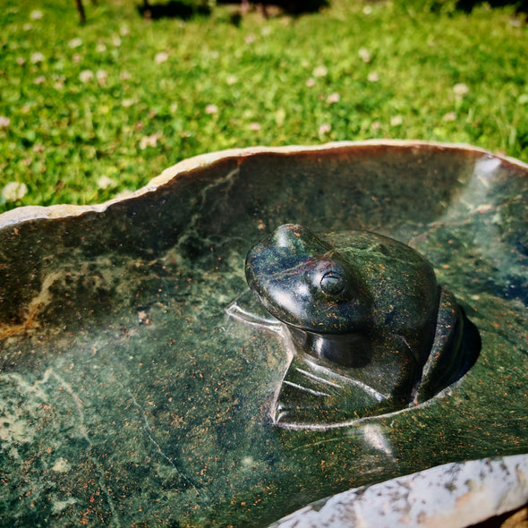 Vogeltränke Frosch Unikat #54 Künstler: Creto Simon