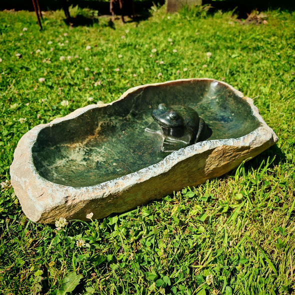 Vogeltränke Frosch Unikat #54 Künstler: Creto Simon