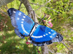 Großer Schillerfalter Schmetterling aus Recycling Metall. Dekoration für Haus und Garten.